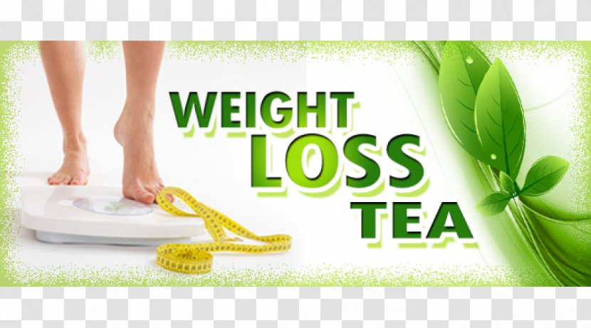 Tea Weight Loss Health Fat Obesity - Grass - Benefits Of Eating Garlic Transparent PNG