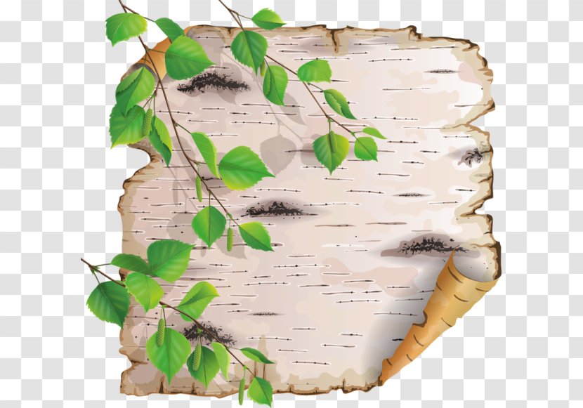 Paper Royalty-free Clip Art - Tree - Parchment Transparent PNG