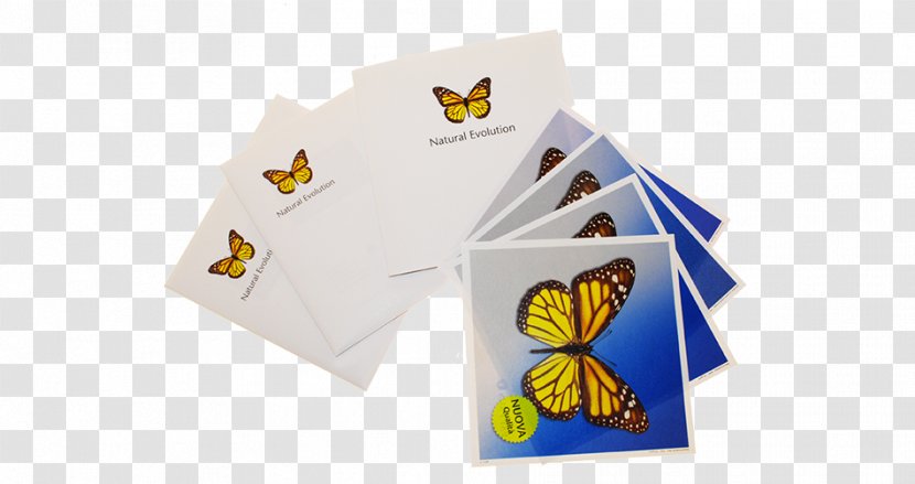 Paper Butterfly Brand 2M - Material Transparent PNG