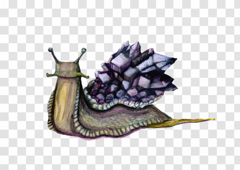 Snail Purple - Organism Transparent PNG