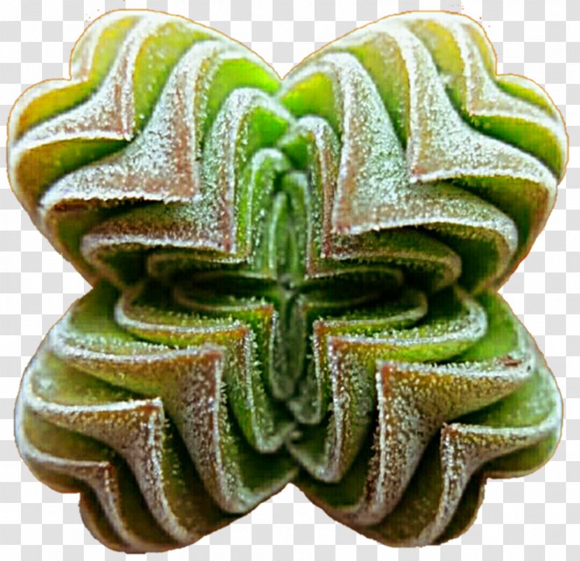Succulent Plant Stock Photography DeviantArt Clip Art - Stumbleupon - Suculent Transparent PNG