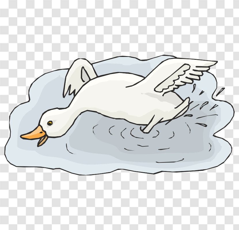 Duck Goose Image Vector Graphics JPEG - Beak Transparent PNG