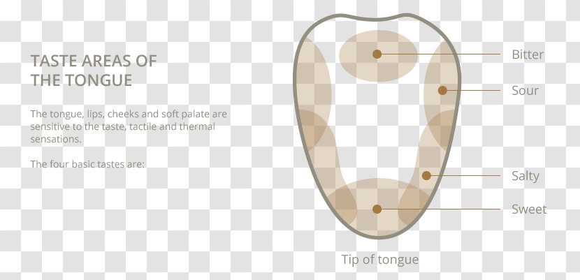 Product Design Material Body Jewellery - Papillae Of Tongue Transparent PNG