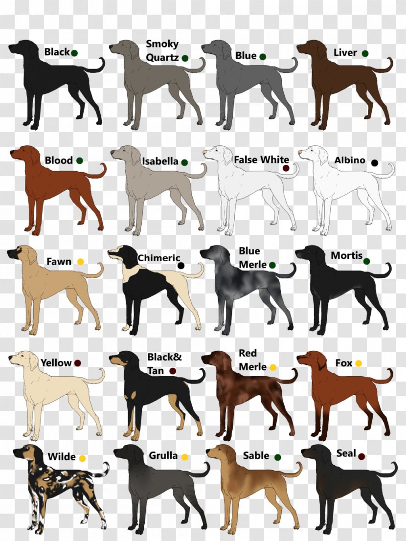 Dog Breed Sporting Group Font Transparent PNG