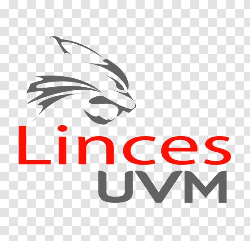 Universidad Del Valle De México Lomas Verdes Organización Nacional Estudiantil Fútbol Americano Lynx Ciudad Universitaria - Mexico Transparent PNG