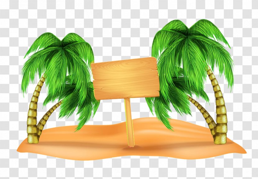 Beach Clip Art - Tree - Coconut On The Picture Material Transparent PNG