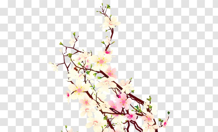Cherry Blossom Image Cherries - Sakura Haruno - Flowering Plant Transparent PNG