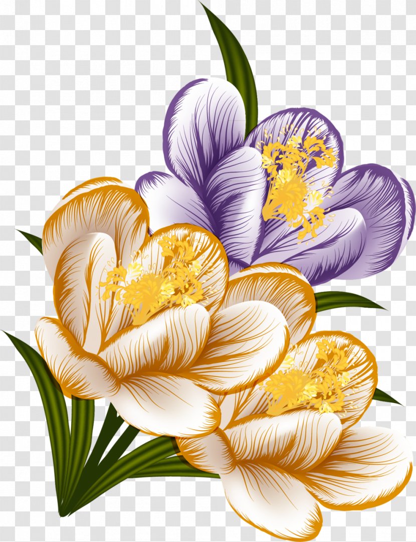 Flower Crocus Clip Art - Plant Transparent PNG