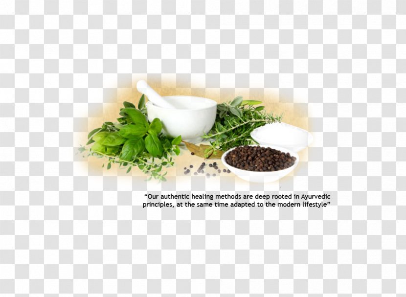 Herbalism Ayurveda Health Disease Transparent PNG