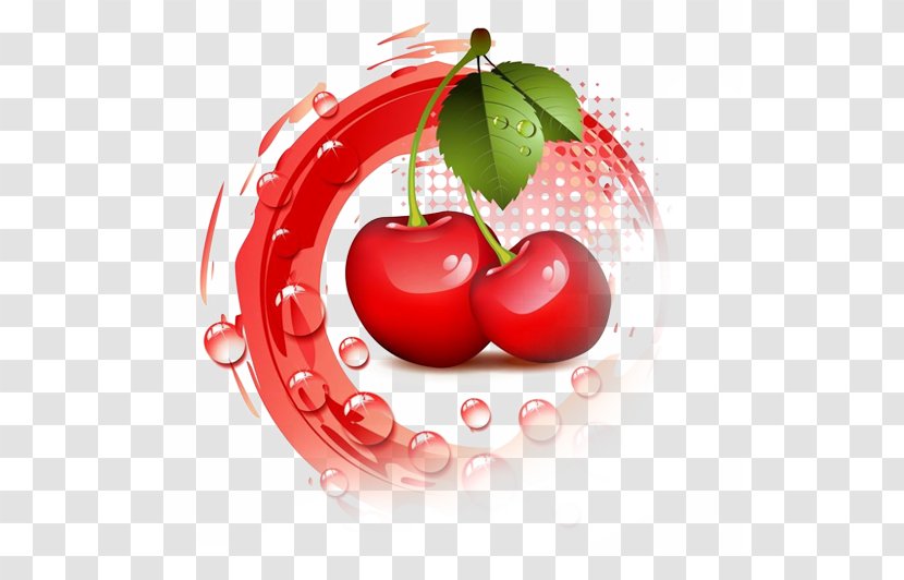 Fruit Cherry Clip Art - Superfood Transparent PNG
