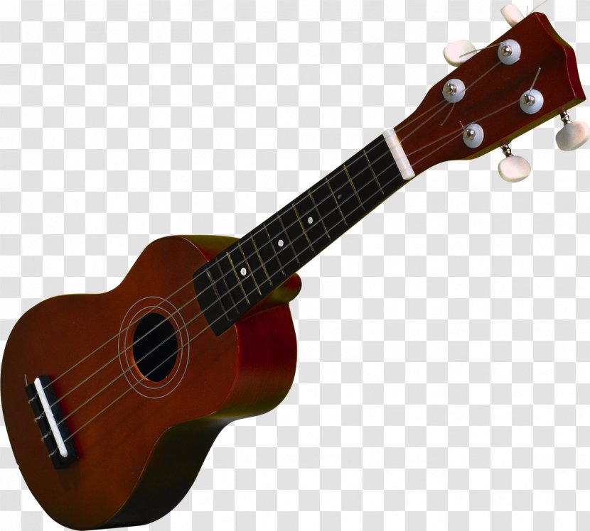Ukulele Guitar Musical Instruments - Tree Transparent PNG