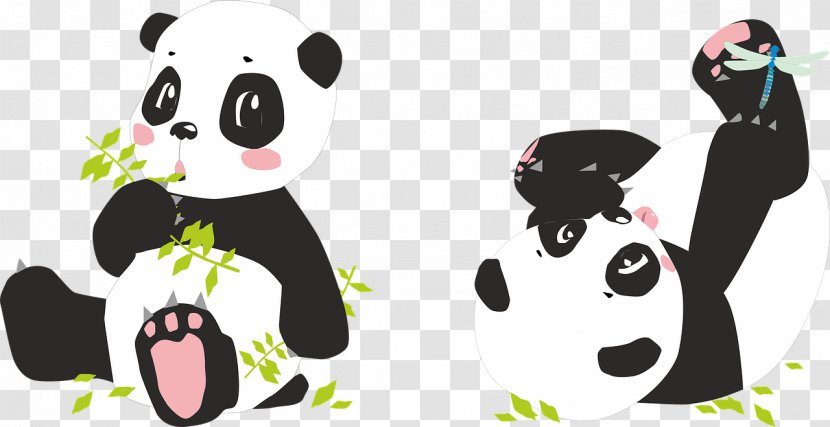 Giant Panda Clip Art Bear Image - Cat Like Mammal Transparent PNG