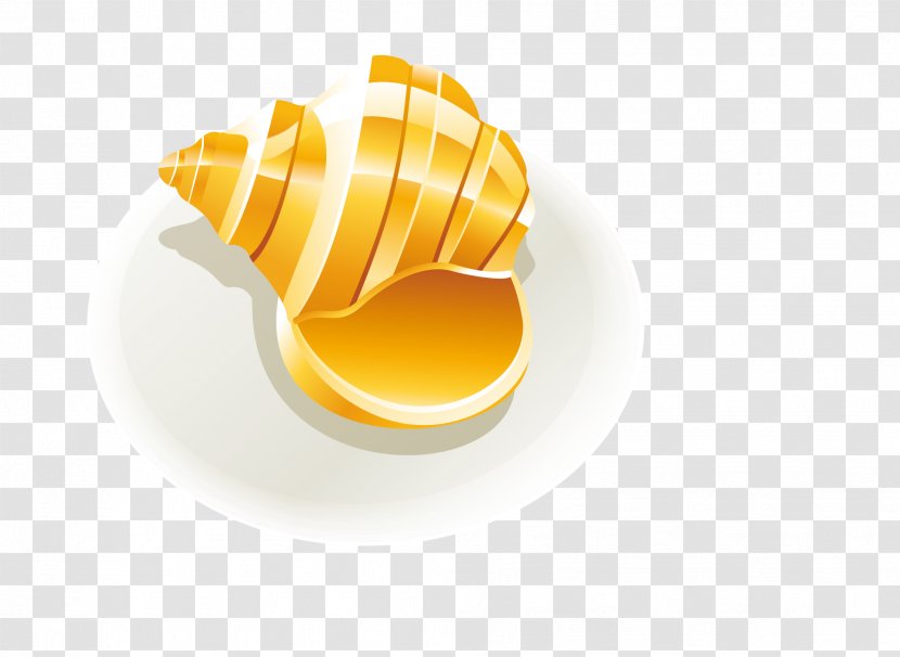 Yellow - Beach - Golden Conch Transparent PNG