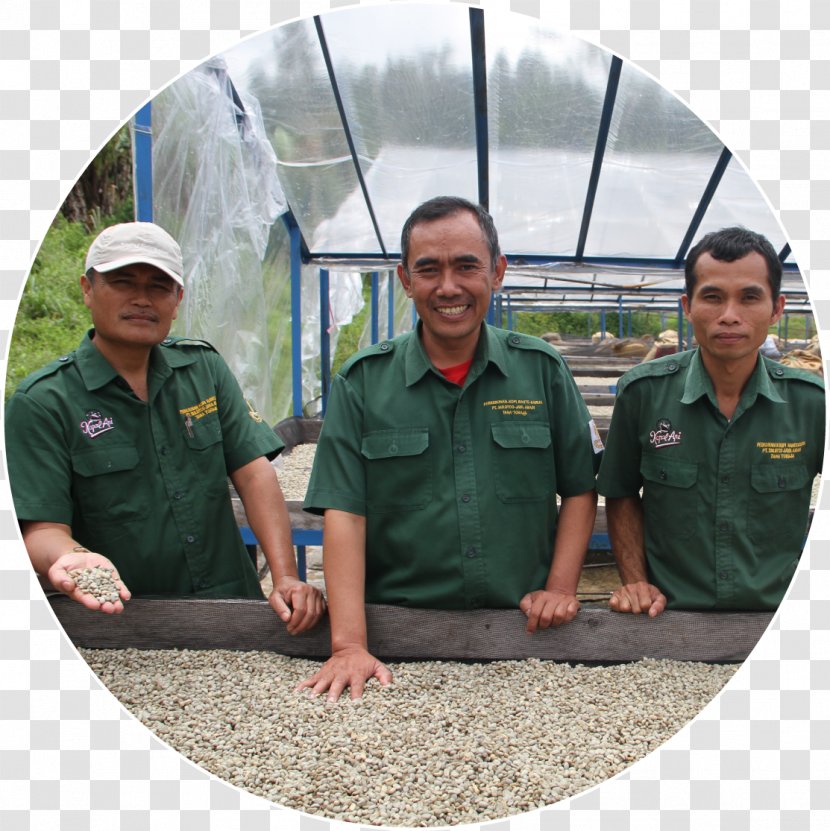 Awan Rante Karua Coffee Bean Arabica - Organization Transparent PNG