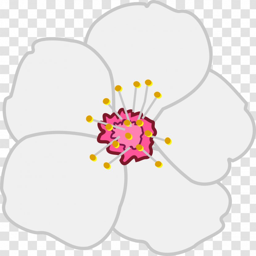 Blossom Flower Apple Clip Art - Cut Flowers - Almond Transparent PNG