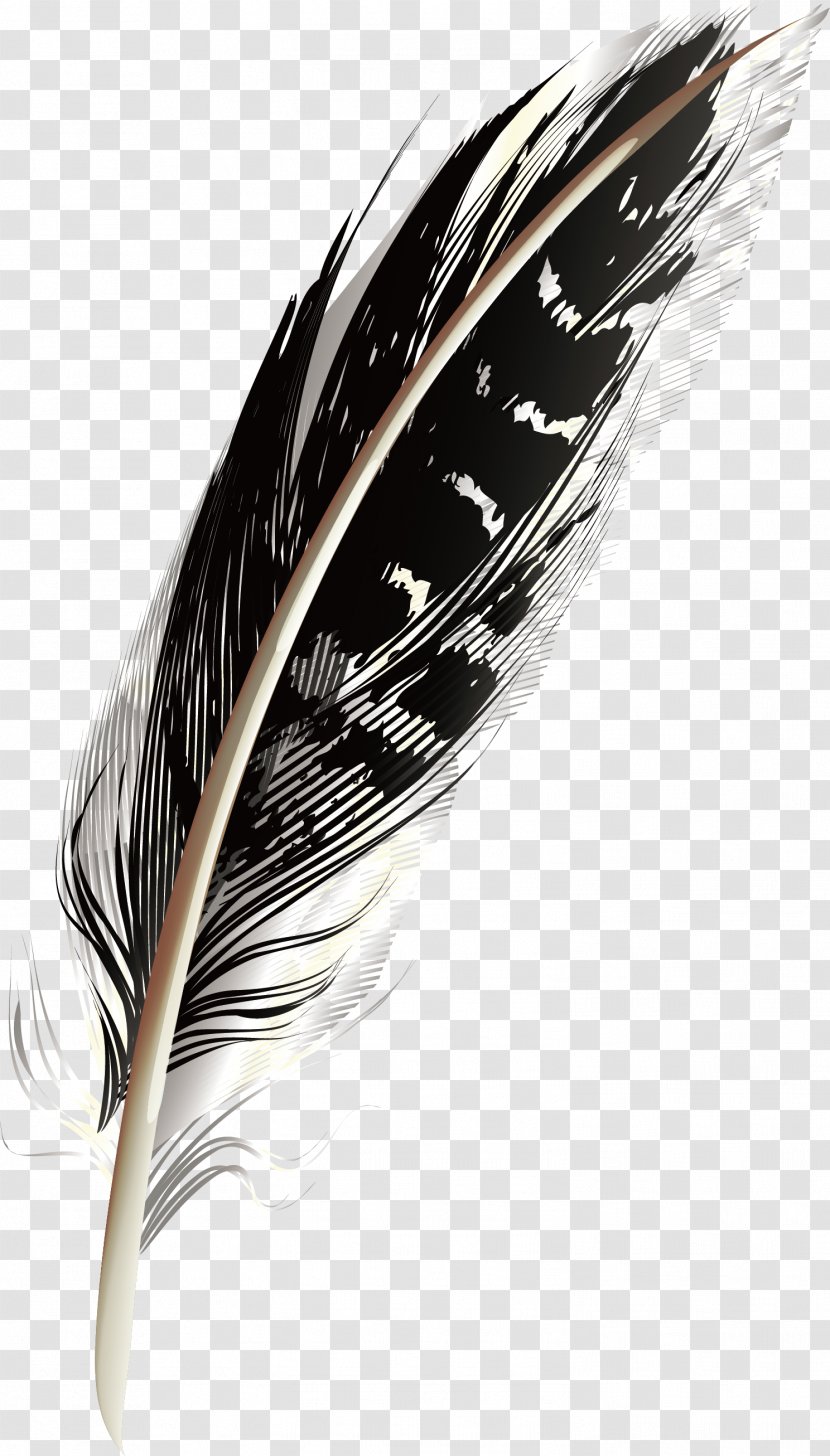 Feather - White - A Black Pattern Feathers Transparent PNG