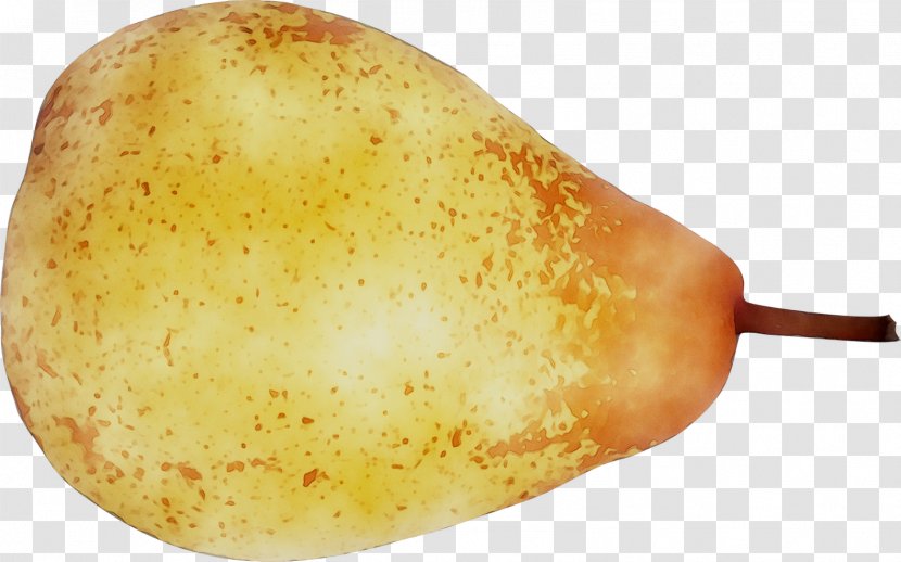 Fruit - Vegetable - Pear Transparent PNG