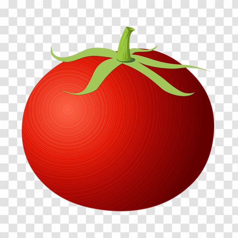 Tomato Cartoon - Food - Nightshade Family Transparent PNG