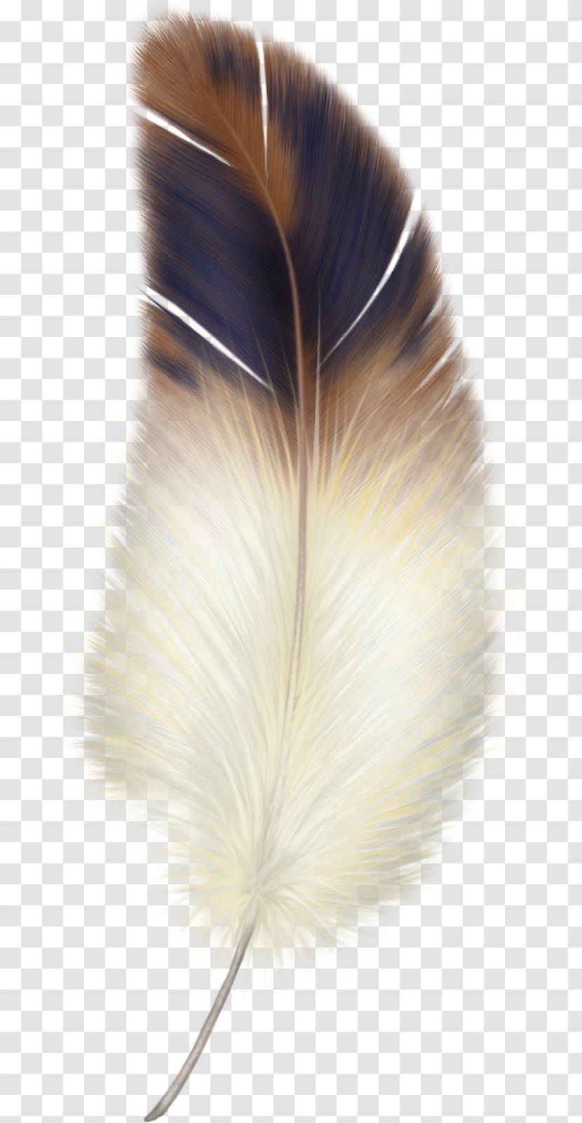 Bird Feather Clip Art - Watercolor Transparent PNG