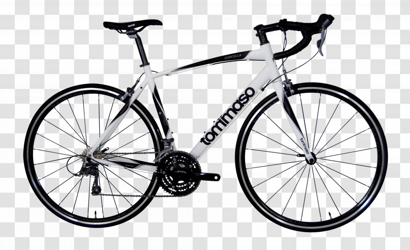 Road Bicycle Racing Tommaso Bikes Cycling - Hybrid Transparent PNG