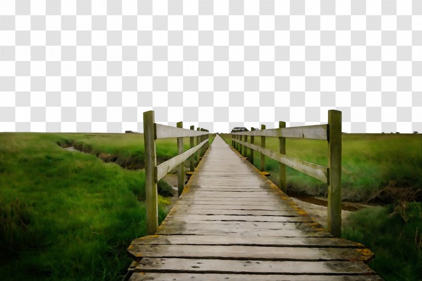 Natural Landscape Nature Boardwalk Reserve Walkway - Path Transparent PNG