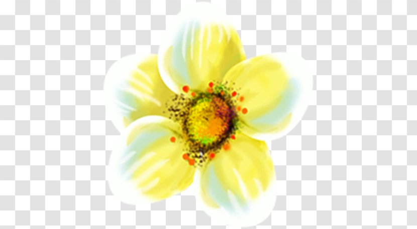 Common Sunflower Cut Flowers Clip Art - Sunflowers - Flower Transparent PNG