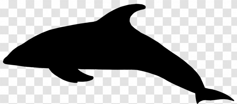 Tucuxi Sea Lion Killer Whale Dolphin Clip Art - Bottlenose - Tail Transparent PNG