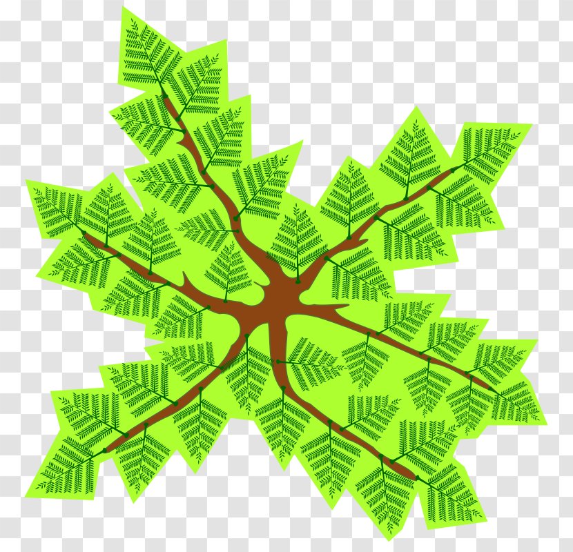 Clip Art - Leaf - World Wide Web Transparent PNG