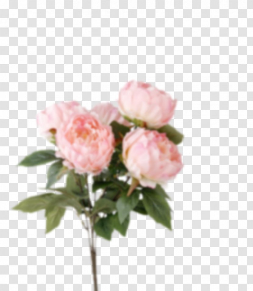 Garden Roses Flower Bouquet Artificial Cabbage Rose - Floribunda Transparent PNG