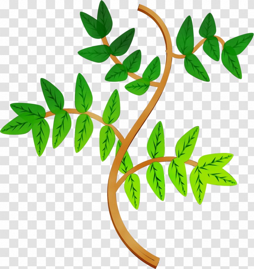 Branch Plant Stem Leaf Flower Plants - Twig Tree Transparent PNG
