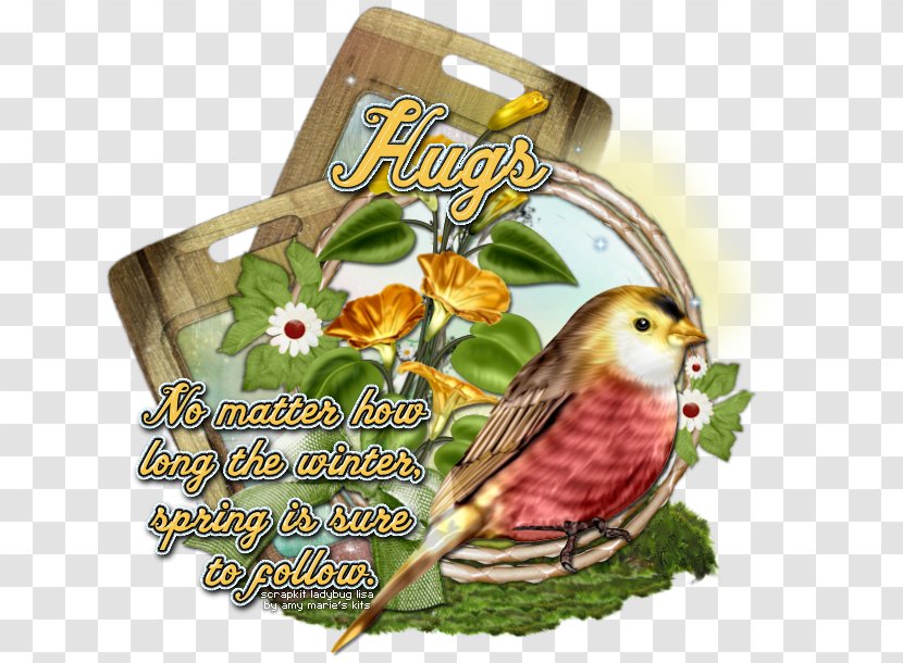 Beak Fauna - Hug Spring Transparent PNG