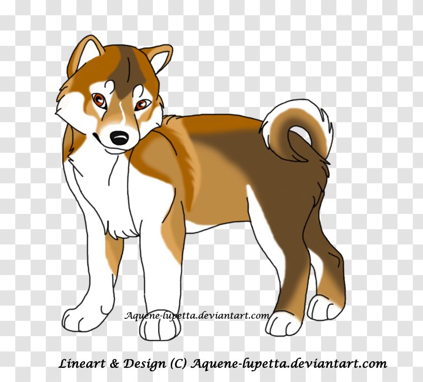 Shiba Inu Finnish Spitz Norwegian Lundehund Shikoku Dog Breed - Puppy - Pup Transparent PNG