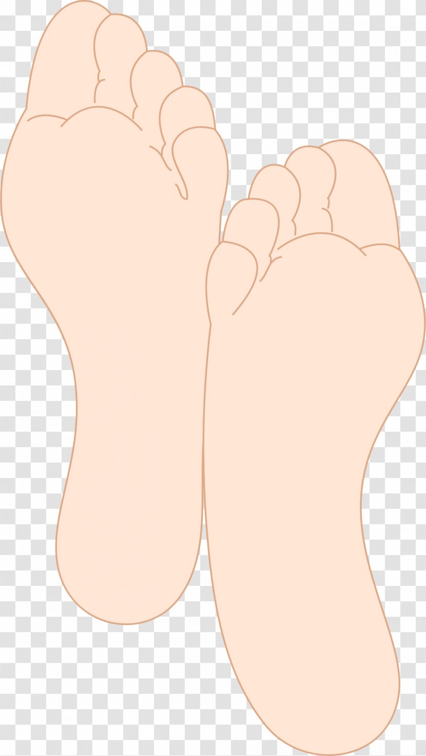 Foot Human Body Sole Toe - Frame - FOOTER Transparent PNG