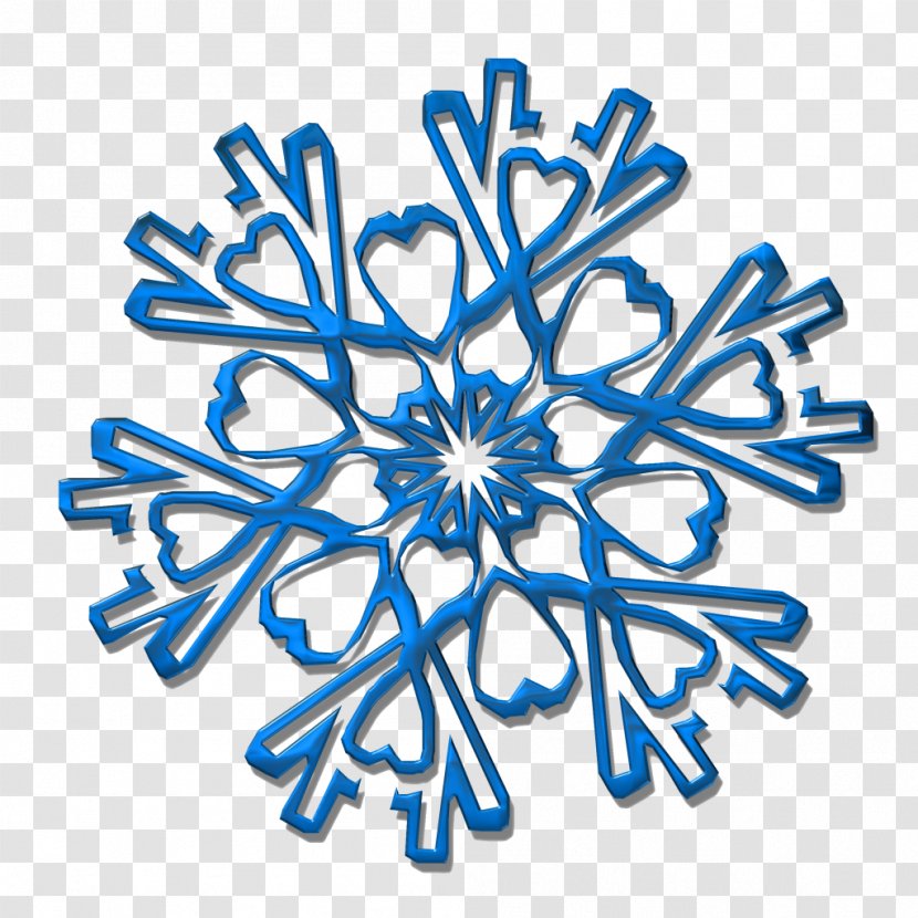 Alternative Health Services Raw Foodism Snowflake Naturopathy - Snowflakes Transparent PNG