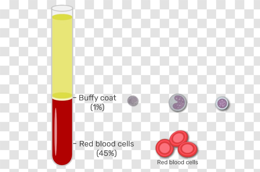 Buffy Coat Red Blood Cell Plasma White - Platelet Transparent PNG
