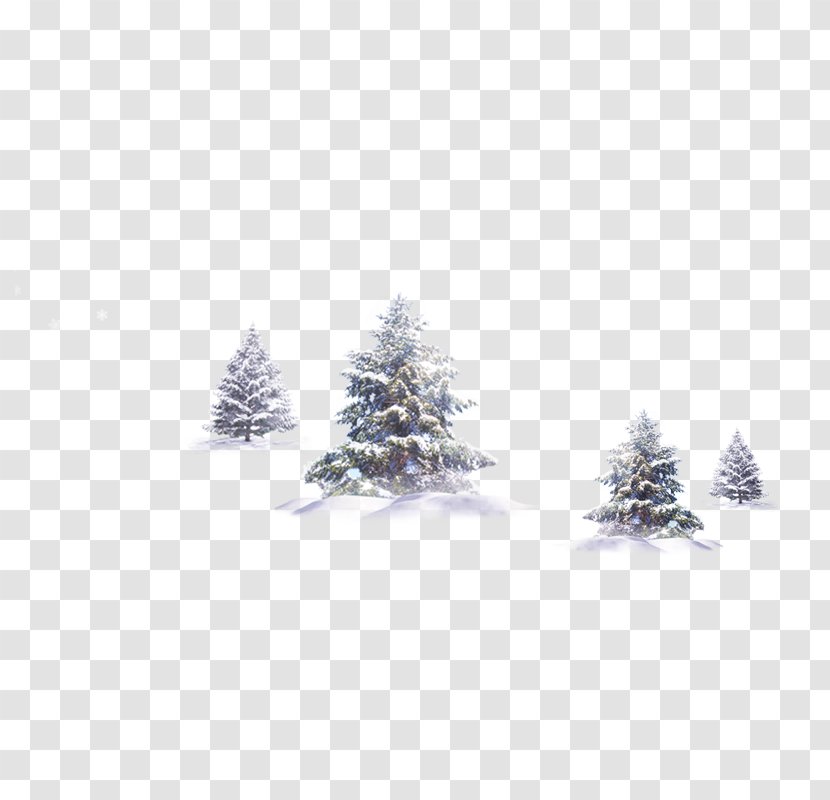 Tree Winter Snow - Trees Transparent PNG