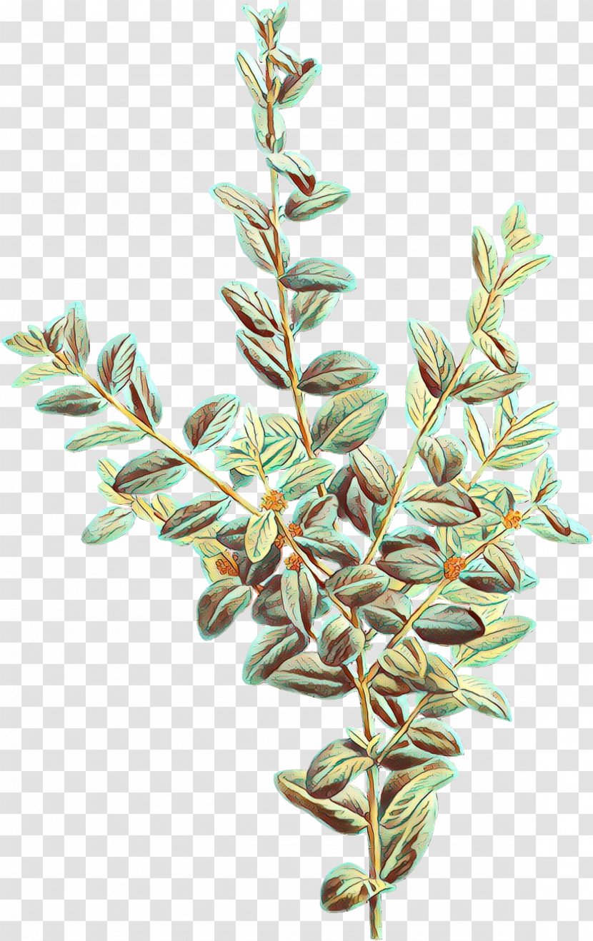 Plant Flower Branch Leaf Tree - Subshrub - American Larch Twig Transparent PNG