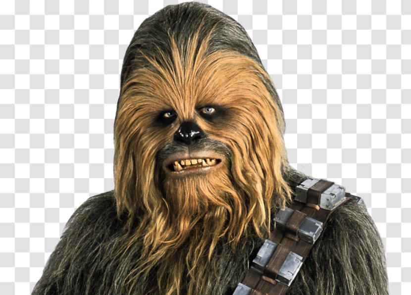 Chewbacca Anakin Skywalker Han Solo Obi-Wan Kenobi Luke Transparent PNG