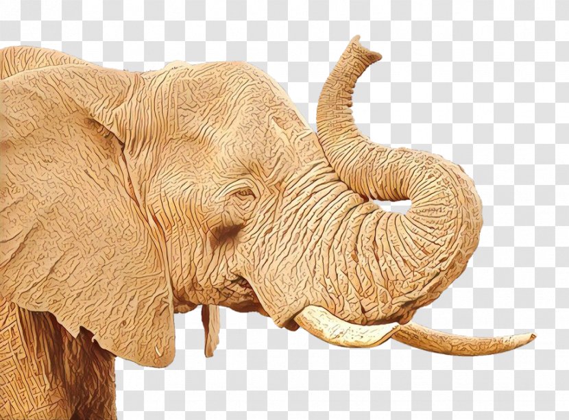 Indian Elephant African Bush Clip Art - Animal Figure Transparent PNG