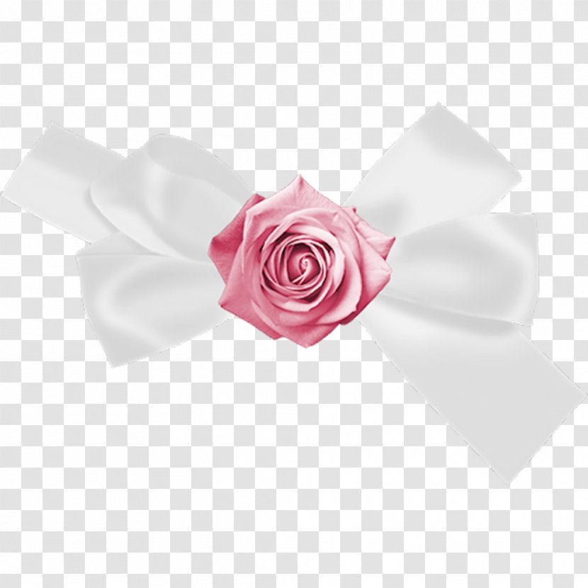 Butterfly Garden Roses Shoelace Knot White - Peach - Bow Transparent PNG