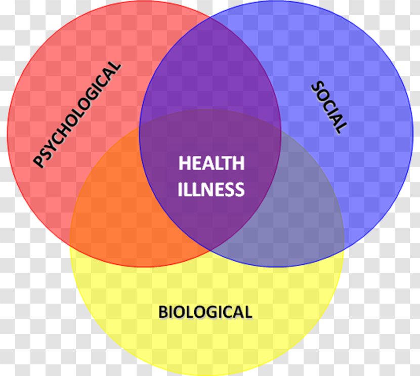 Biopsychosocial Model Health Psychology Biomedical - Medicine Transparent PNG