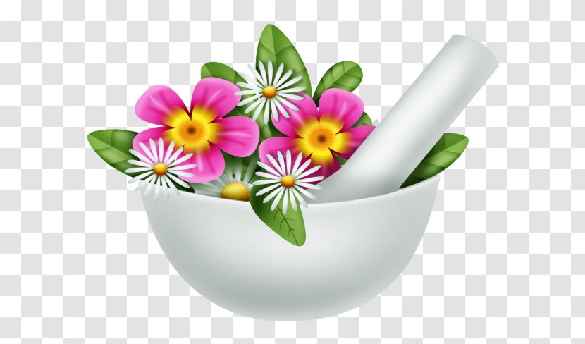Flowerpot Tableware Flowering Plant Herbaceous - Flower Transparent PNG