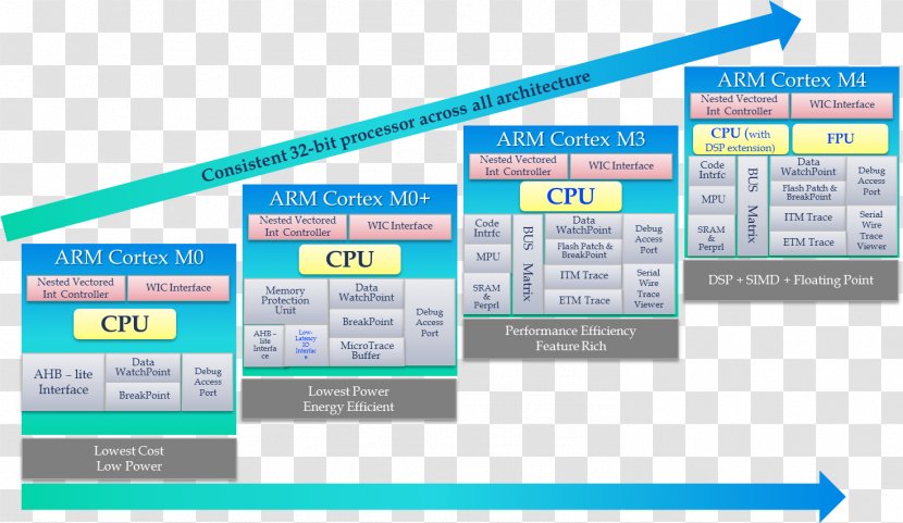 ARM Architecture Cortex-M Microcontroller STM32 Instruction Set - Organization Transparent PNG