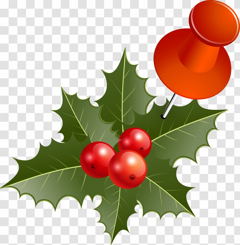 Clip Art Vector Graphics Christmas Day Illustration Image - Common Holly - Royaltyfree Transparent PNG