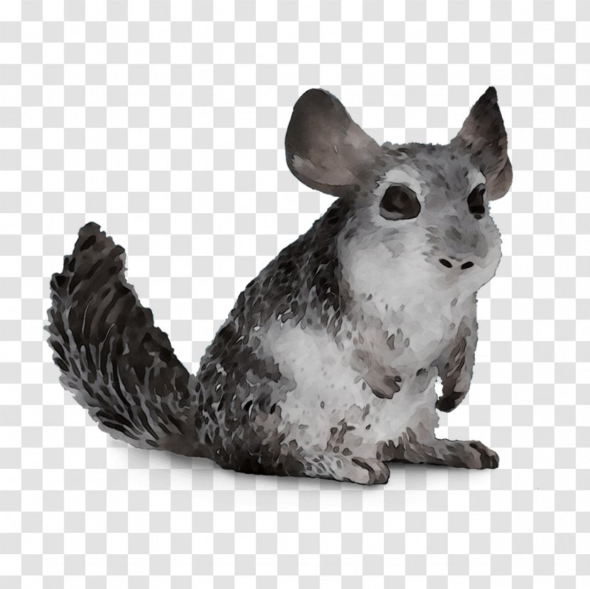 Chinchilla Fauna Figurine Snout - Sculpture - Animal Figure Transparent PNG