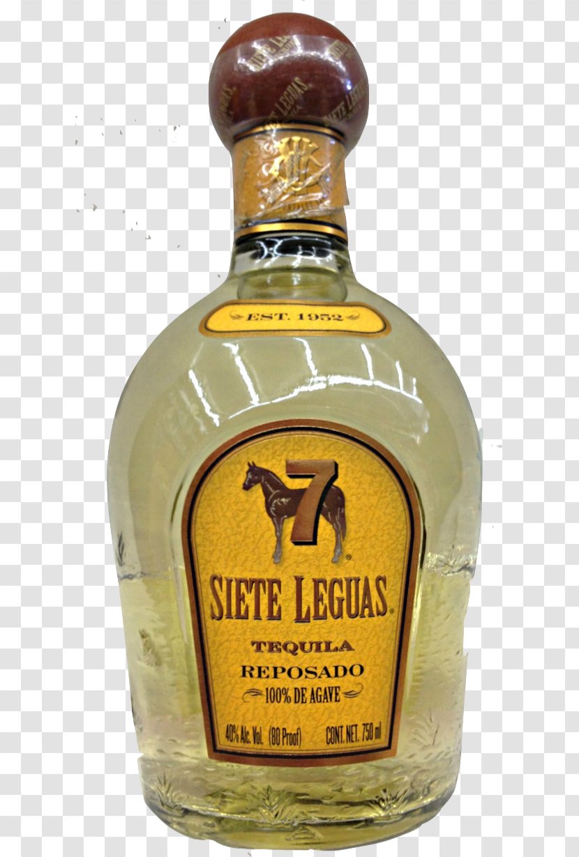 Liqueur Tequila Siete Leguas Whiskey Liquor - Bottle - Shooter Transparent PNG