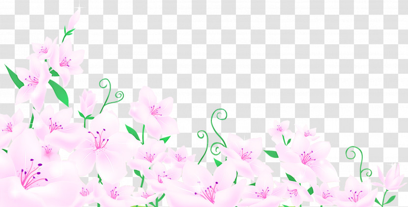 Lily Flower Transparent PNG