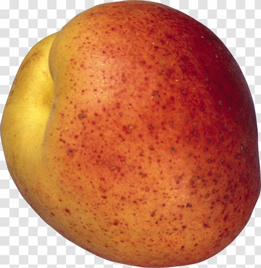 Peach Fruit PhotoScape - Image Transparent PNG