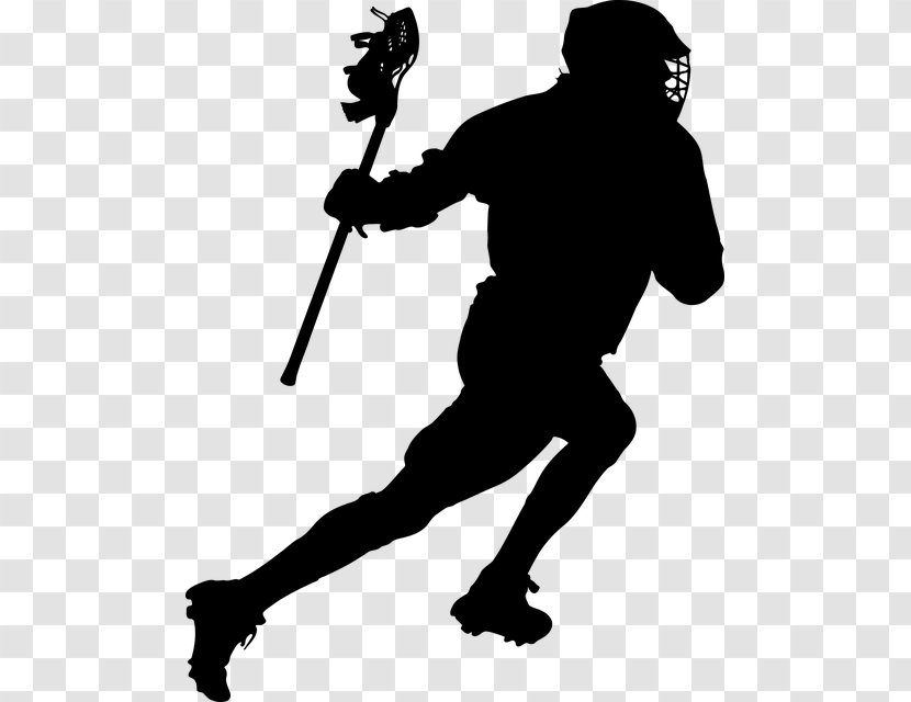 Lacrosse Clip Art - Field - Vector Transparent PNG