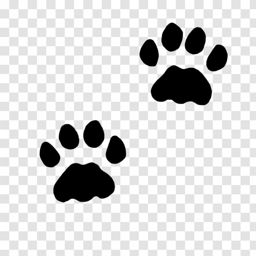 Dog Cat Paw Pet Felidae - Free Icon Transparent PNG